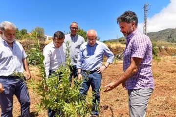Plantación de 4.400 almendreros, nogales, higueras y olivos en Valsequillo (Foto TA)